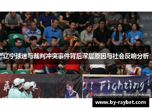 辽宁球迷与裁判冲突事件背后深层原因与社会反响分析