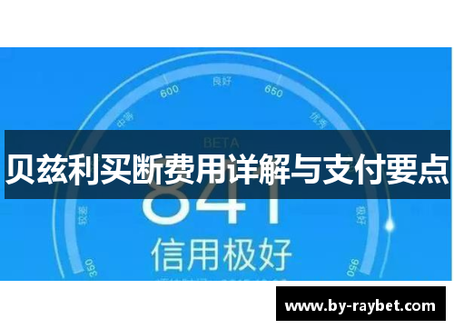 贝兹利买断费用详解与支付要点